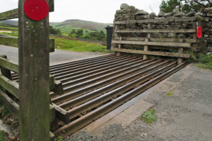Image of a cattle guard